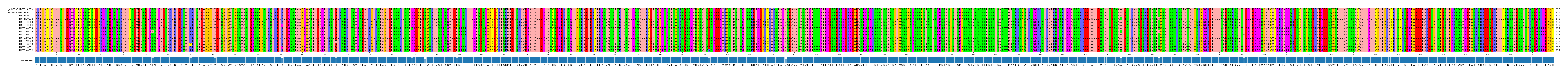 Multiple Alignments (by translate haplotype frequency)