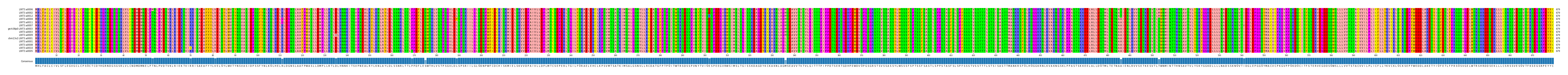 Multiple Alignments (by translate haplotype similarity)