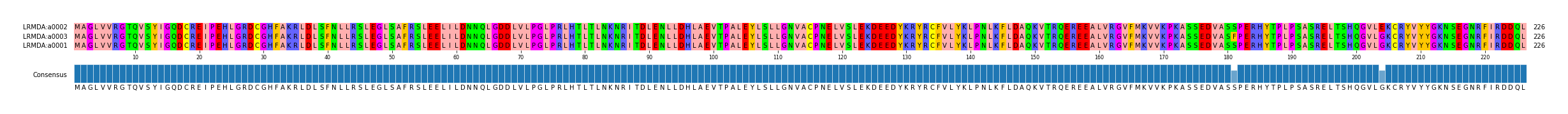 Multiple Alignments (by translate haplotype similarity)