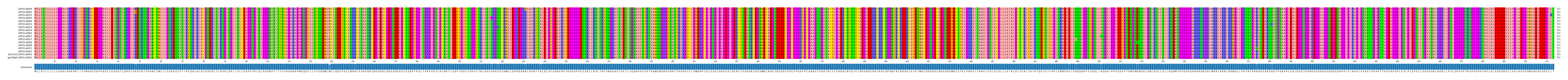 Multiple Alignments (by translate haplotype similarity)