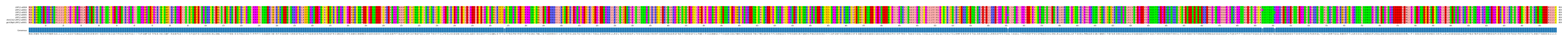 Multiple Alignments (by translate haplotype similarity)