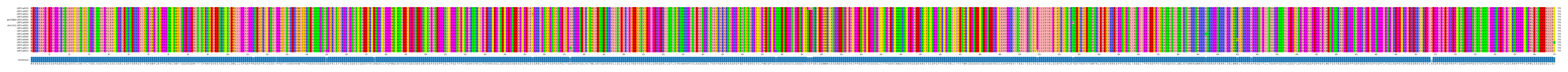 Multiple Alignments (by translate haplotype similarity)