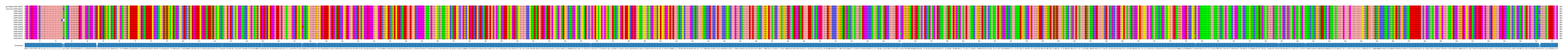 Multiple Alignments (by translate haplotype frequency)