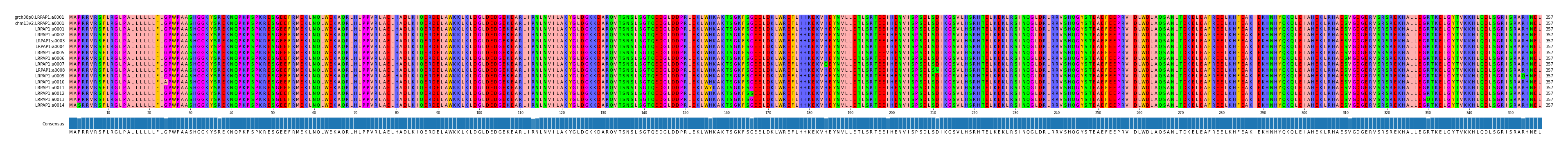 Multiple Alignments (by translate haplotype frequency)