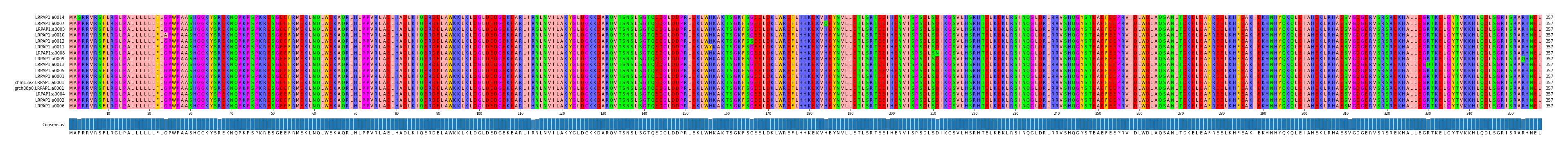 Multiple Alignments (by translate haplotype similarity)