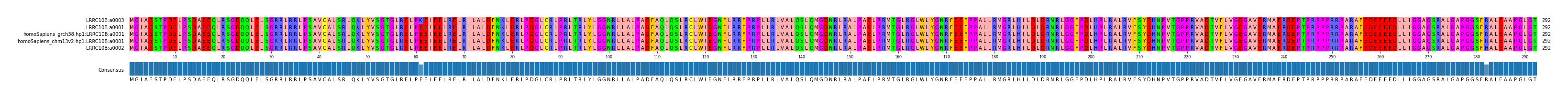 Multiple Alignments (by translate haplotype similarity)