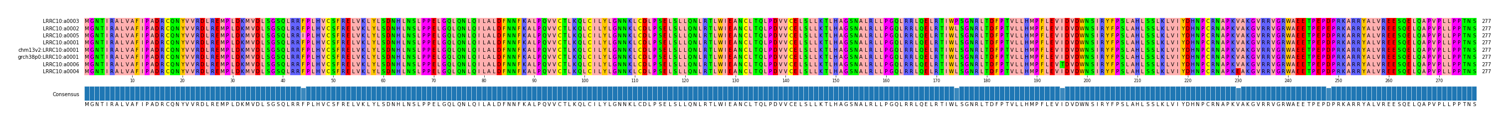 Multiple Alignments (by translate haplotype similarity)