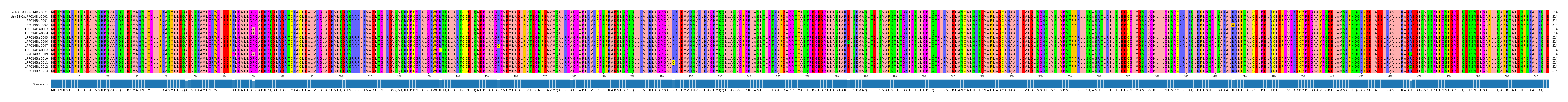 Multiple Alignments (by translate haplotype frequency)