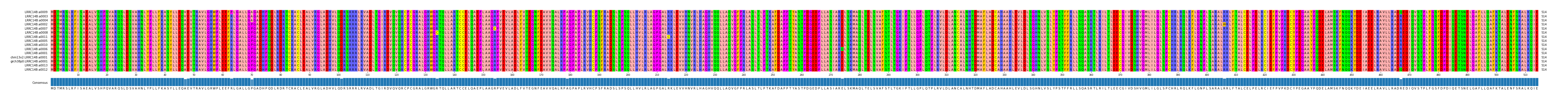 Multiple Alignments (by translate haplotype similarity)