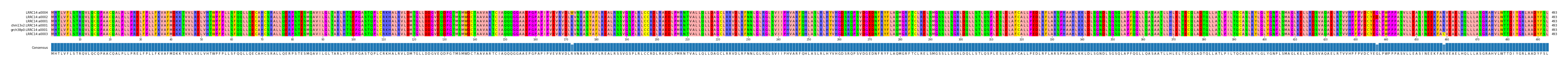 Multiple Alignments (by translate haplotype similarity)