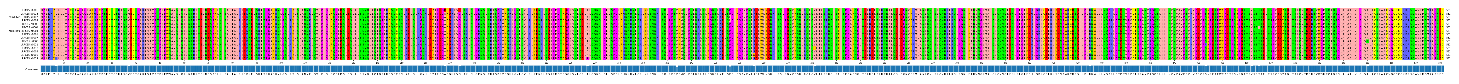 Multiple Alignments (by translate haplotype similarity)