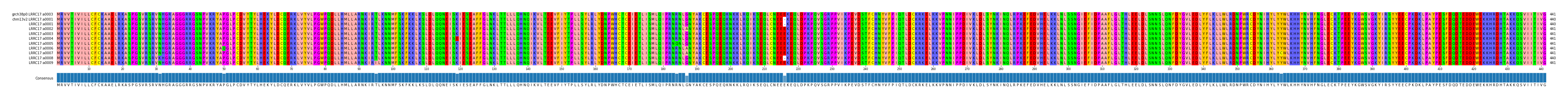 Multiple Alignments (by translate haplotype frequency)