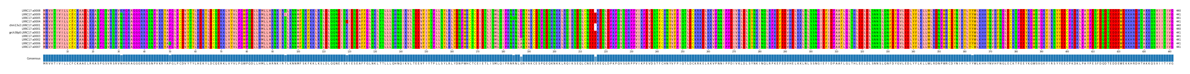 Multiple Alignments (by translate haplotype similarity)