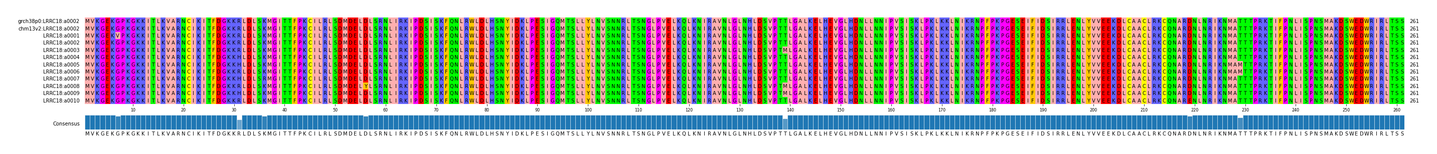 Multiple Alignments (by translate haplotype frequency)