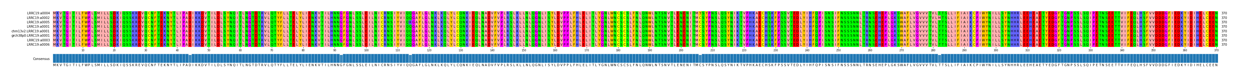 Multiple Alignments (by translate haplotype similarity)