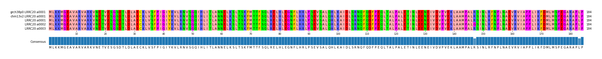 Multiple Alignments (by translate haplotype frequency)