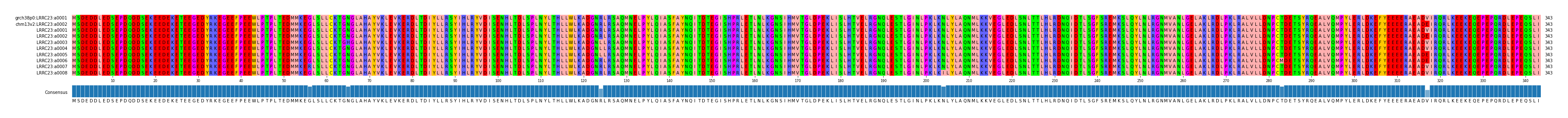 Multiple Alignments (by translate haplotype frequency)