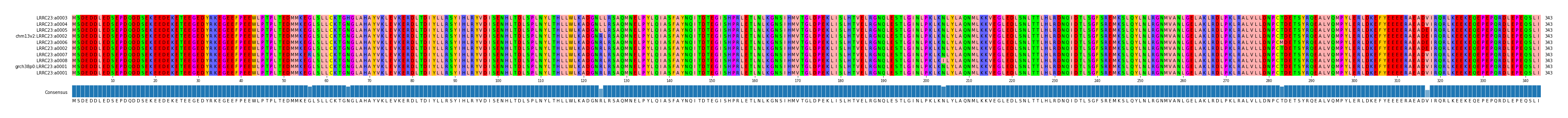 Multiple Alignments (by translate haplotype similarity)