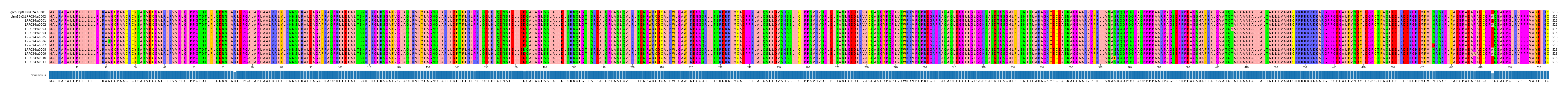 Multiple Alignments (by translate haplotype frequency)