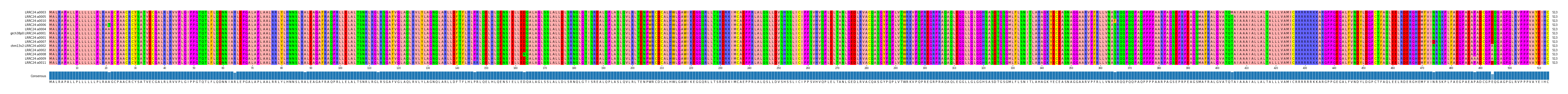 Multiple Alignments (by translate haplotype similarity)