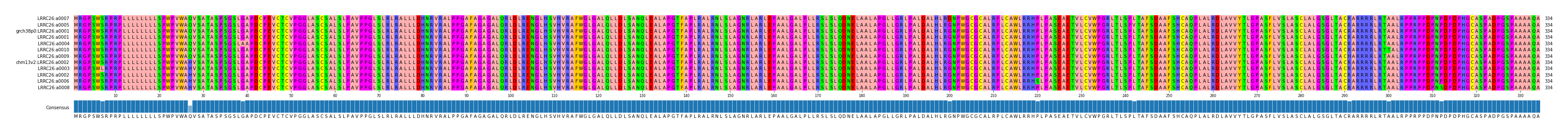 Multiple Alignments (by translate haplotype similarity)