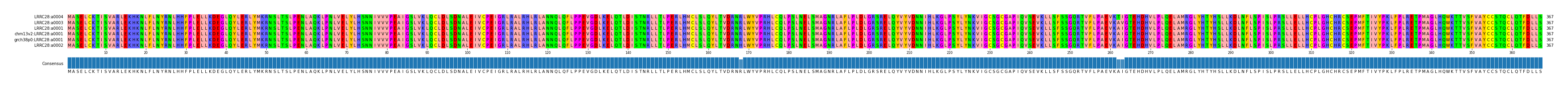 Multiple Alignments (by translate haplotype similarity)