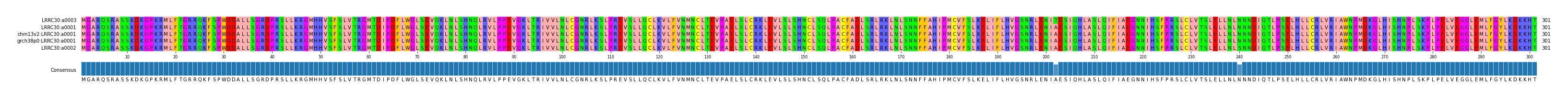 Multiple Alignments (by translate haplotype similarity)