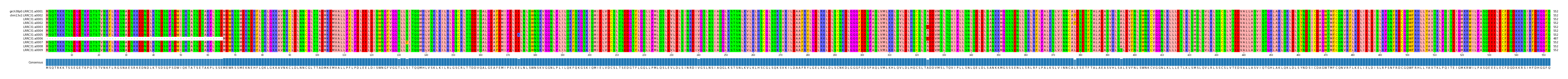 Multiple Alignments (by translate haplotype frequency)