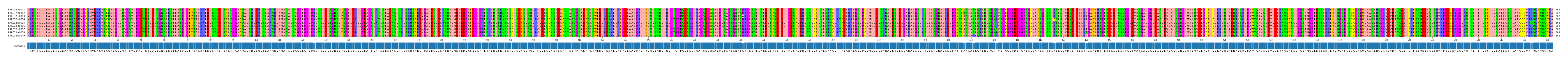 Multiple Alignments (by translate haplotype frequency)