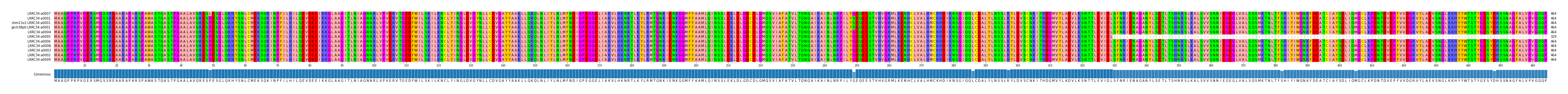 Multiple Alignments (by translate haplotype similarity)