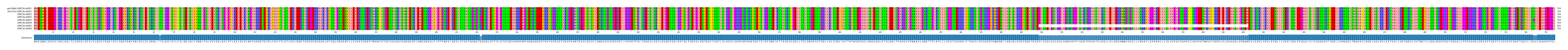 Multiple Alignments (by translate haplotype frequency)