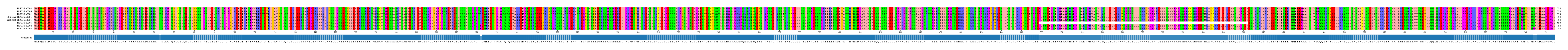 Multiple Alignments (by translate haplotype similarity)