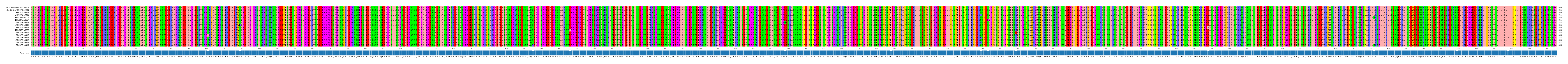 Multiple Alignments (by translate haplotype frequency)
