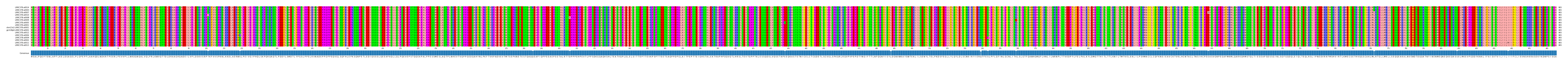 Multiple Alignments (by translate haplotype similarity)