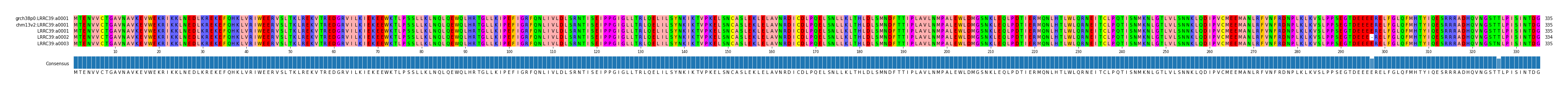 Multiple Alignments (by translate haplotype frequency)
