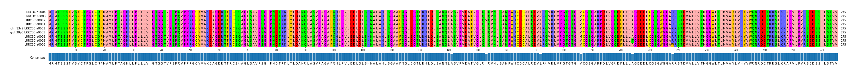 Multiple Alignments (by translate haplotype similarity)