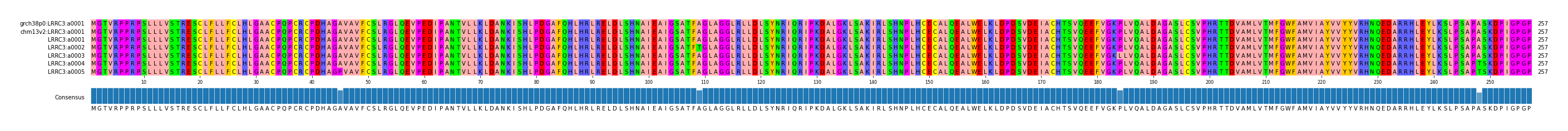 Multiple Alignments (by translate haplotype frequency)