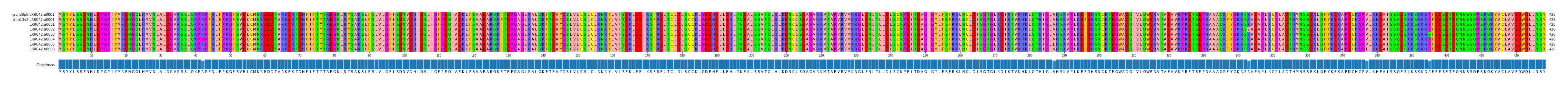 Multiple Alignments (by translate haplotype frequency)