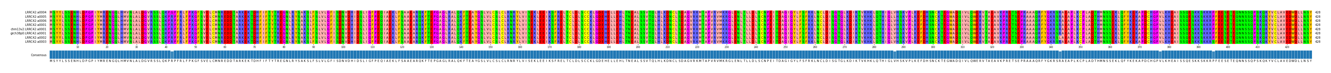 Multiple Alignments (by translate haplotype similarity)
