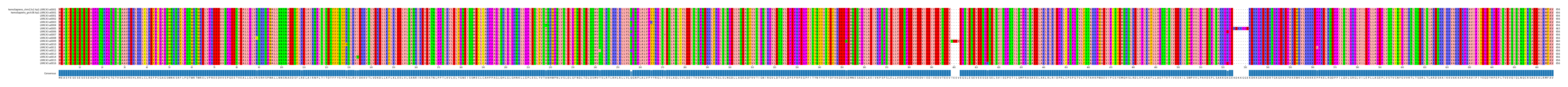 Multiple Alignments (by translate haplotype frequency)