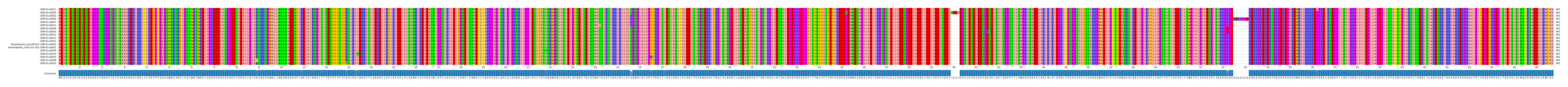 Multiple Alignments (by translate haplotype similarity)