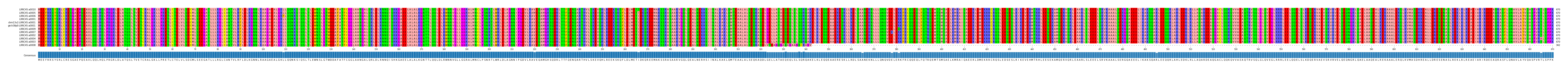 Multiple Alignments (by translate haplotype similarity)