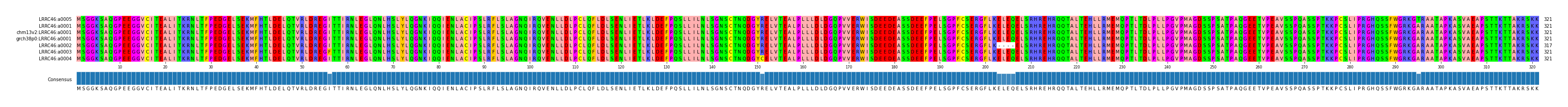 Multiple Alignments (by translate haplotype similarity)