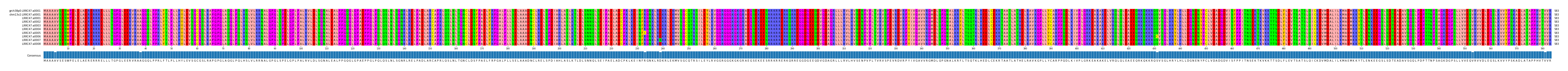 Multiple Alignments (by translate haplotype frequency)