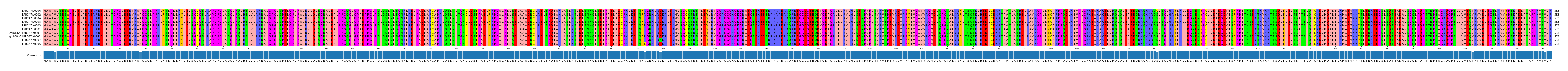 Multiple Alignments (by translate haplotype similarity)