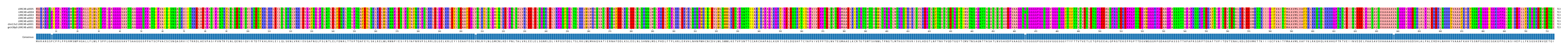 Multiple Alignments (by translate haplotype similarity)