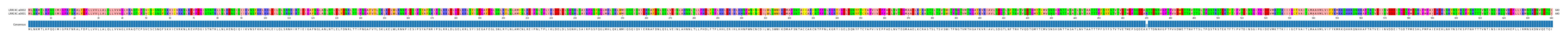 Multiple Alignments (by translate haplotype similarity)