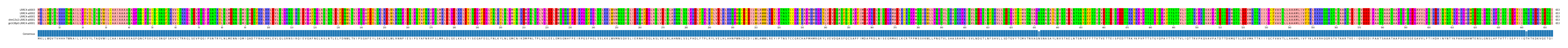 Multiple Alignments (by translate haplotype similarity)