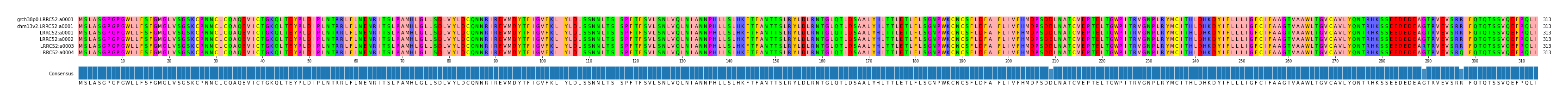 Multiple Alignments (by translate haplotype frequency)