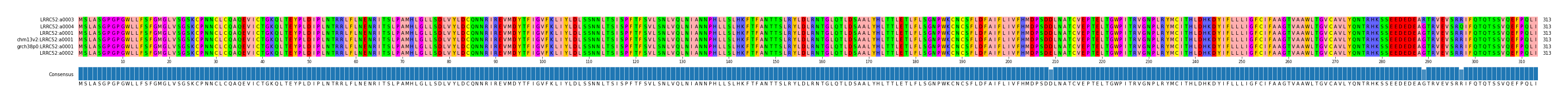Multiple Alignments (by translate haplotype similarity)